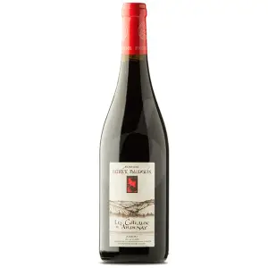 DOMAINE PATRICK BAUDOIN ANJOU ROUGE LES COTEAUX D'ARDENAY