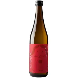 TOYO BIJIN "OKARAKUCHI" JUNMAI GINJO - ASIAN BEAUTY - SUPER DRY